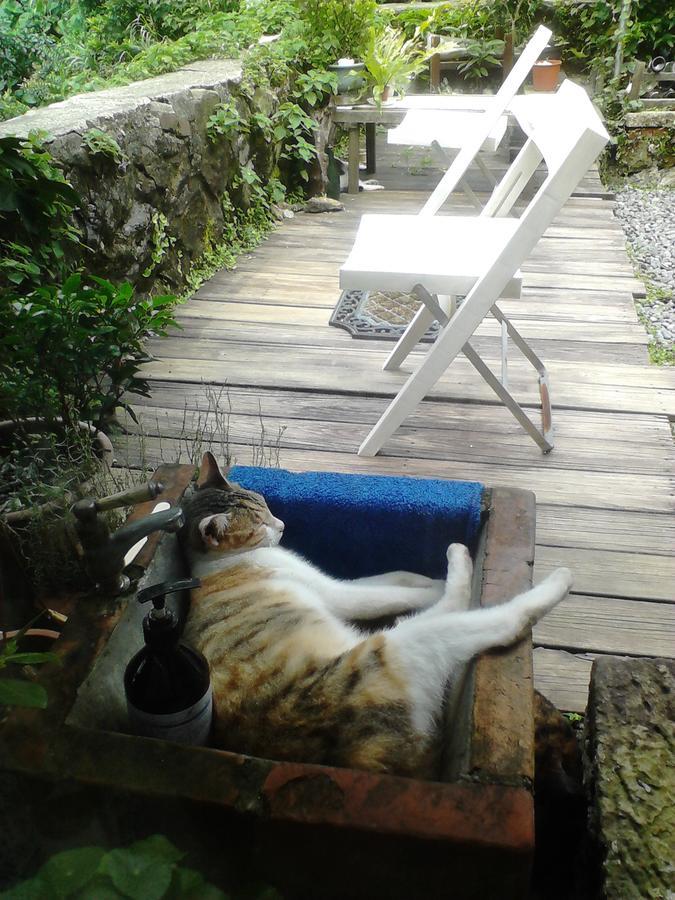 Jiufen Aromatherapy B&B Bagian luar foto